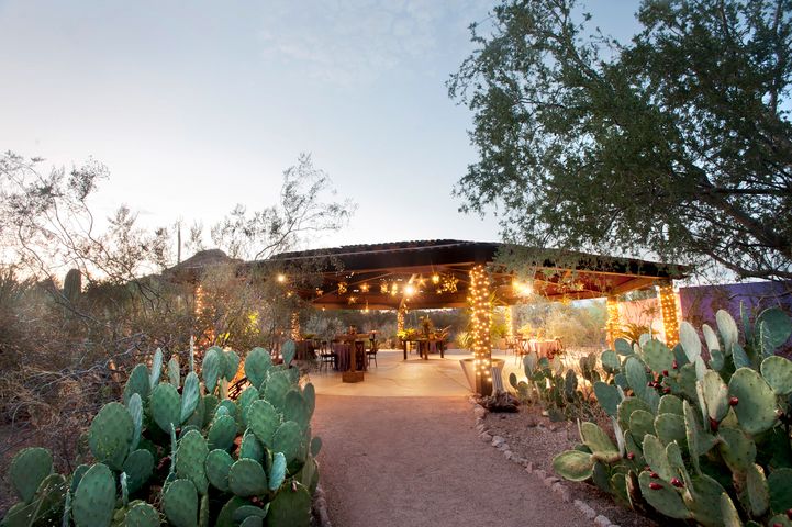 Desert Botanical Garden